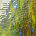 Assorted Crate 15