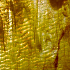 Rippled Glass Sheet Yellow Streaky