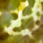 Glass Sheet Mixed Colors Mottled  w/ Yellow/White/Purple Streaky