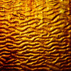 Glass Sheet Browns & Mixed Colors Ripple texture