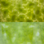 Glass Sheet Mixed Colors Mottled  w/ Yellow/Green/White