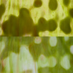 Glass Sheet Mixed Colors Mottled  w/ Green/Purple/White Streaky