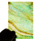 Glass Sheet Green with Ripple Texture