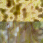 Glass Sheet Mixed Colors Mottled  w/ Yellow/White/Purple Streaky
