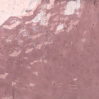 Glass Sheet Red Cathedral (High Transparency & Clarity)