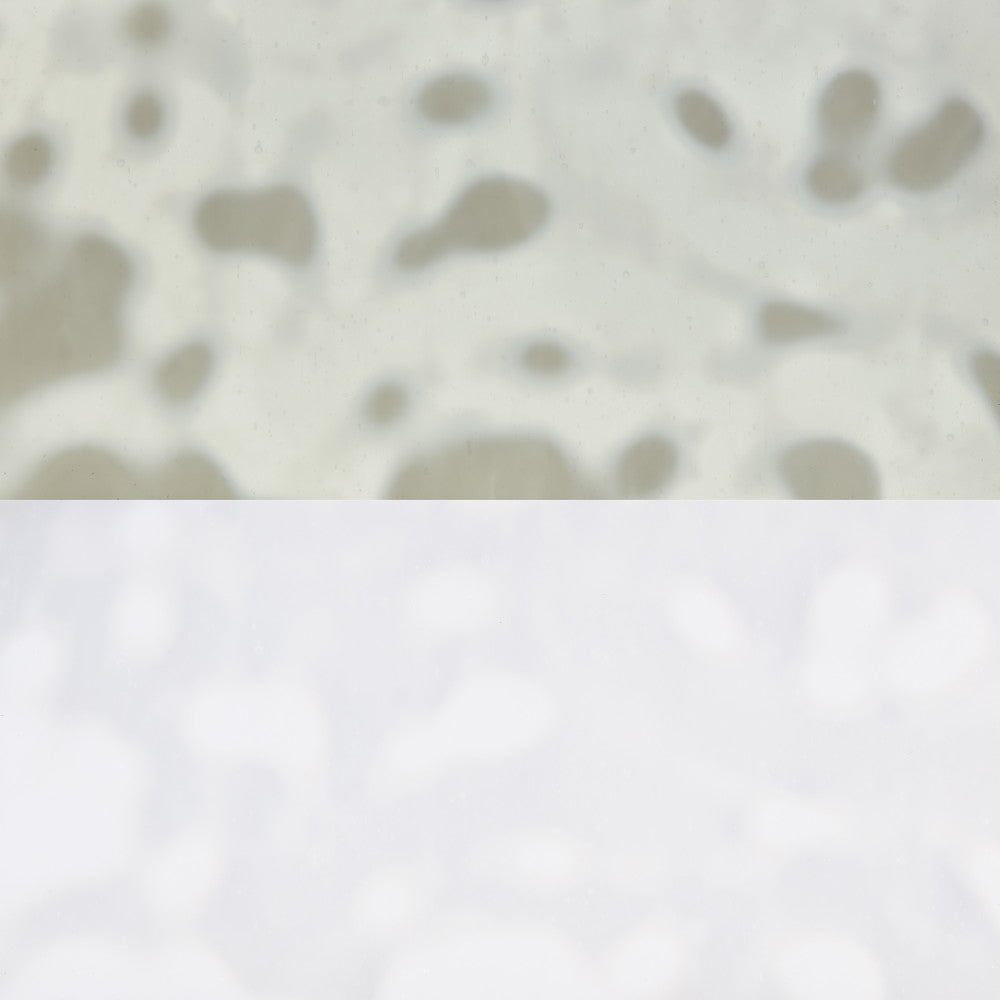 Glass Sheet White Mottled