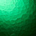 Glass Sheet Green Cathedral (High Transparency & Clarity)